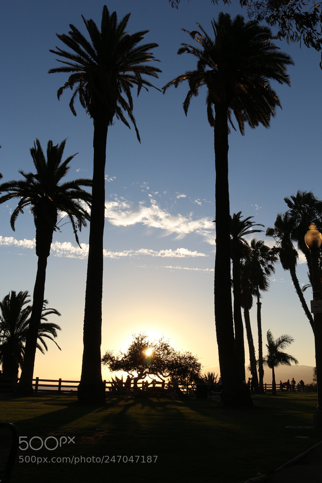 Canon EOS 700D (EOS Rebel T5i / EOS Kiss X7i) sample photo. Sunset in santa monica photography
