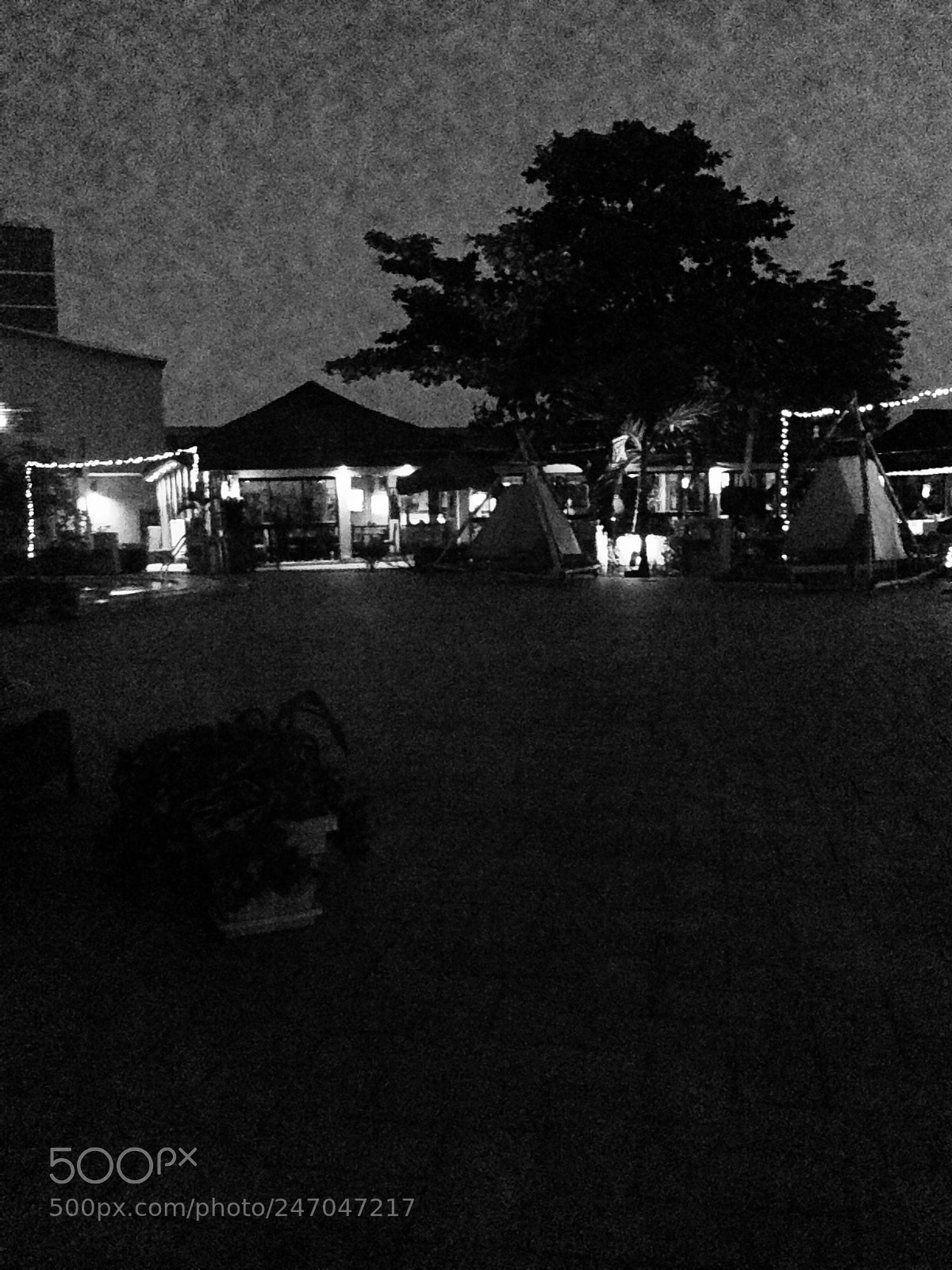 Apple iPhone 5 sample photo. ?? photography