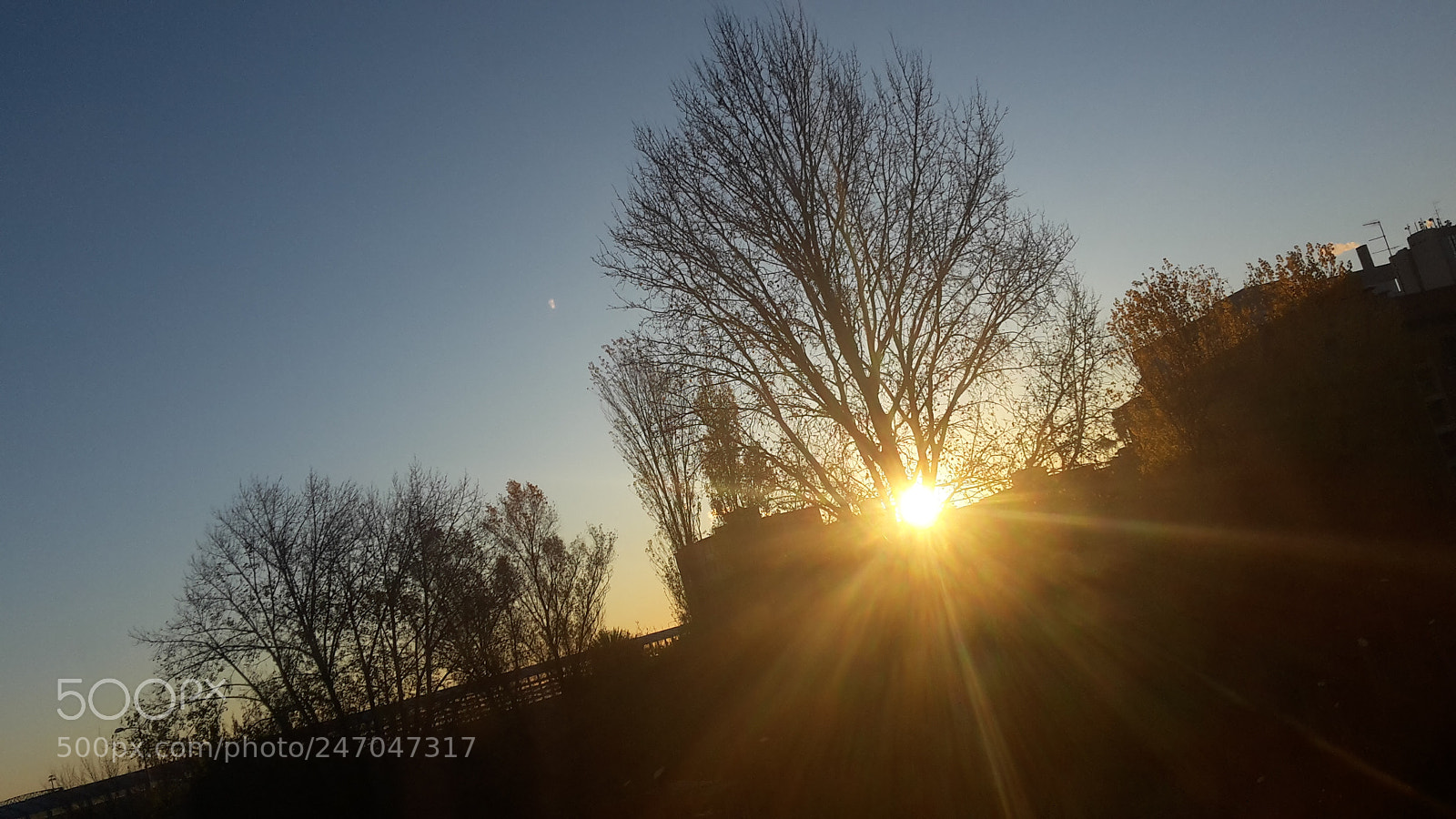 Samsung Galaxy S5 Mini sample photo. Monday morning photography