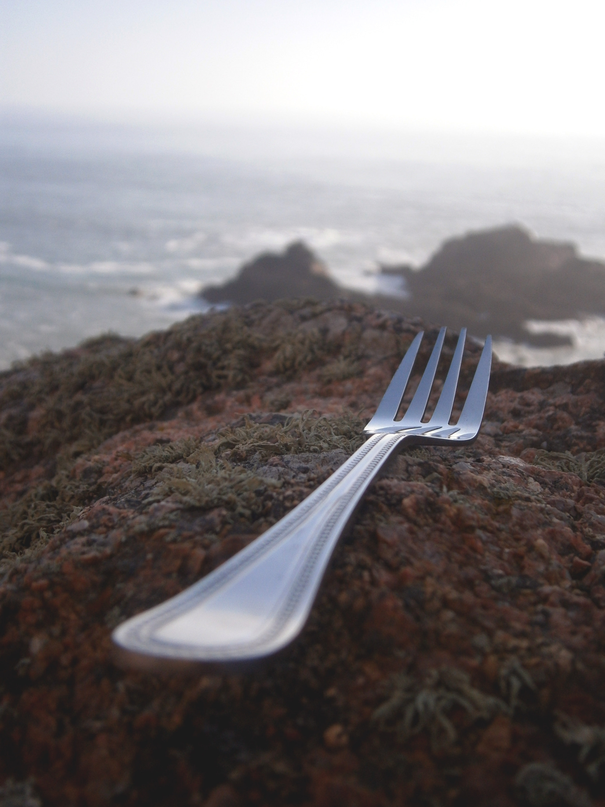 Olympus VG120,D705 sample photo. Cutlery study photography