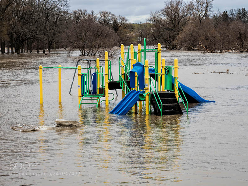 Olympus OM-D E-M1 Mark II sample photo. Park - grand river photography