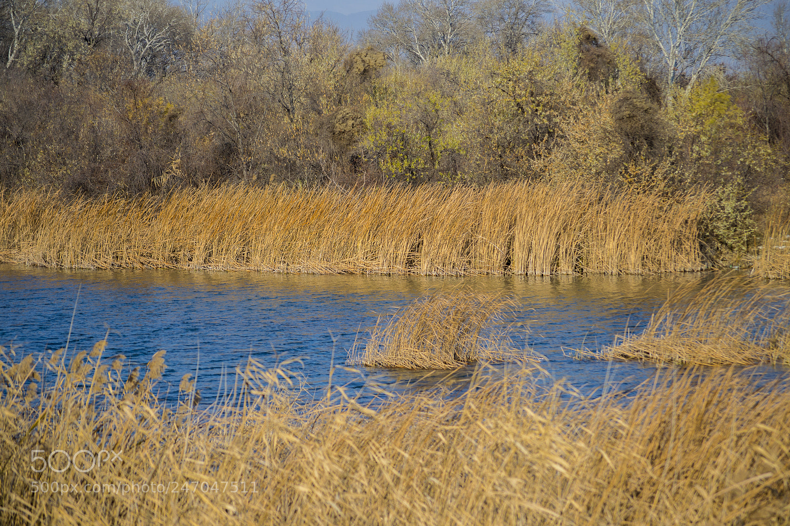 Nikon D3100 sample photo. ლამაზი ამინდი ░ nice weather photography