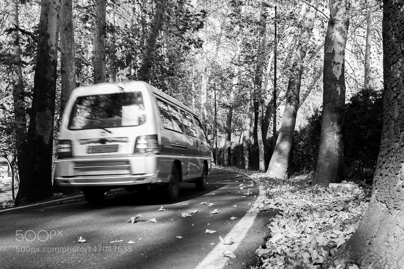Canon EOS 700D (EOS Rebel T5i / EOS Kiss X7i) sample photo. Move photography