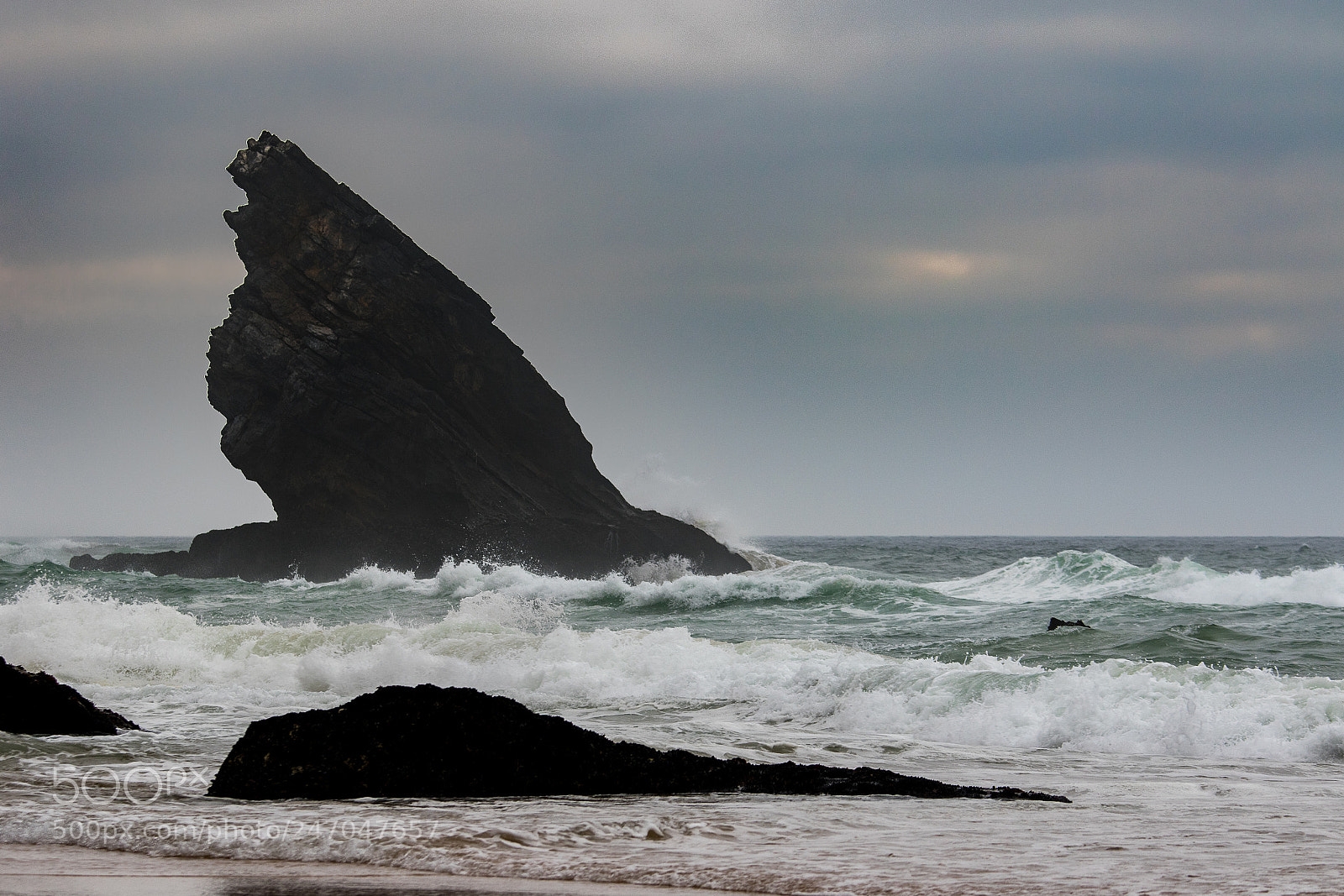 Canon EOS 7D Mark II sample photo. Ursa photography