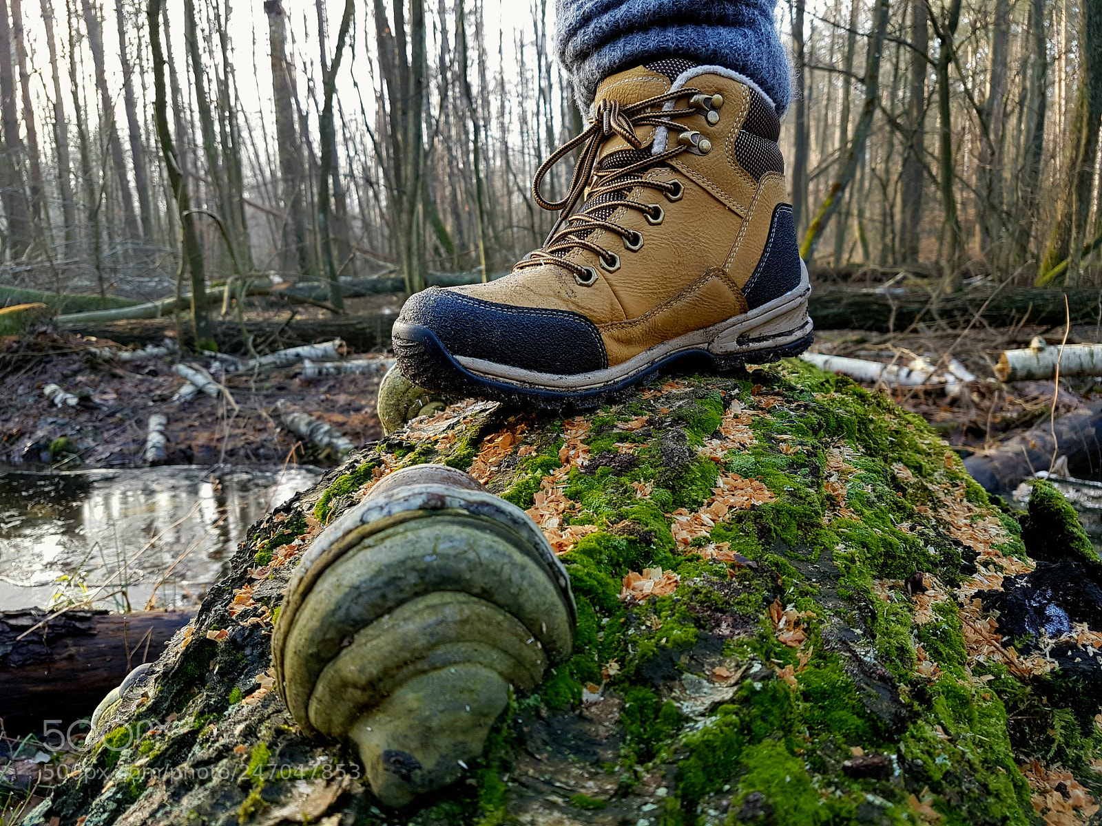 Samsung Galaxy S7 sample photo. Untitled photography