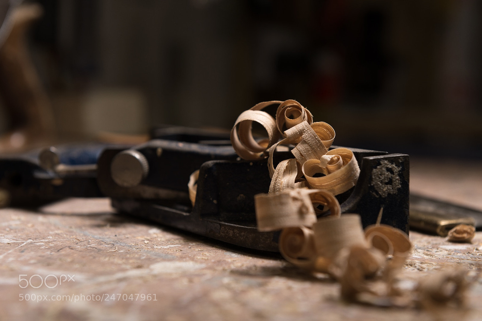 Nikon D4 sample photo. Focusing on the detail photography