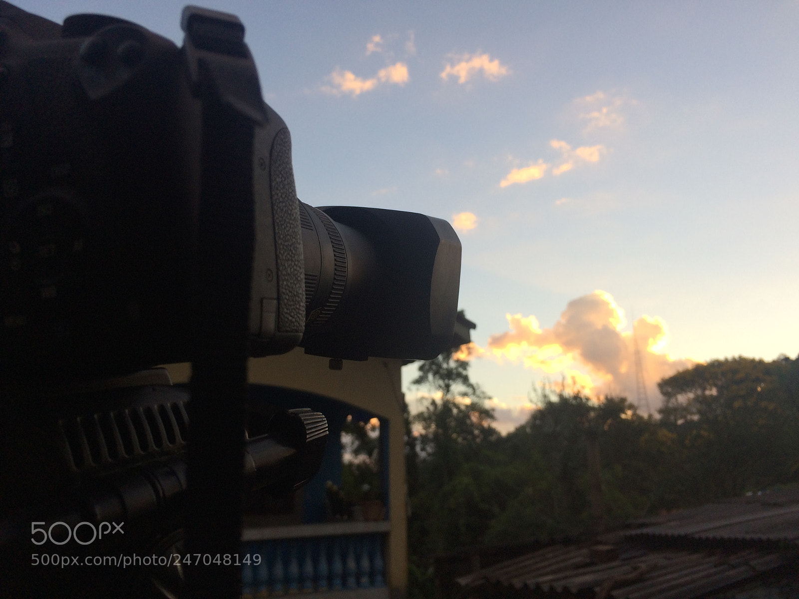 Apple iPhone 5s sample photo. Untitled photography