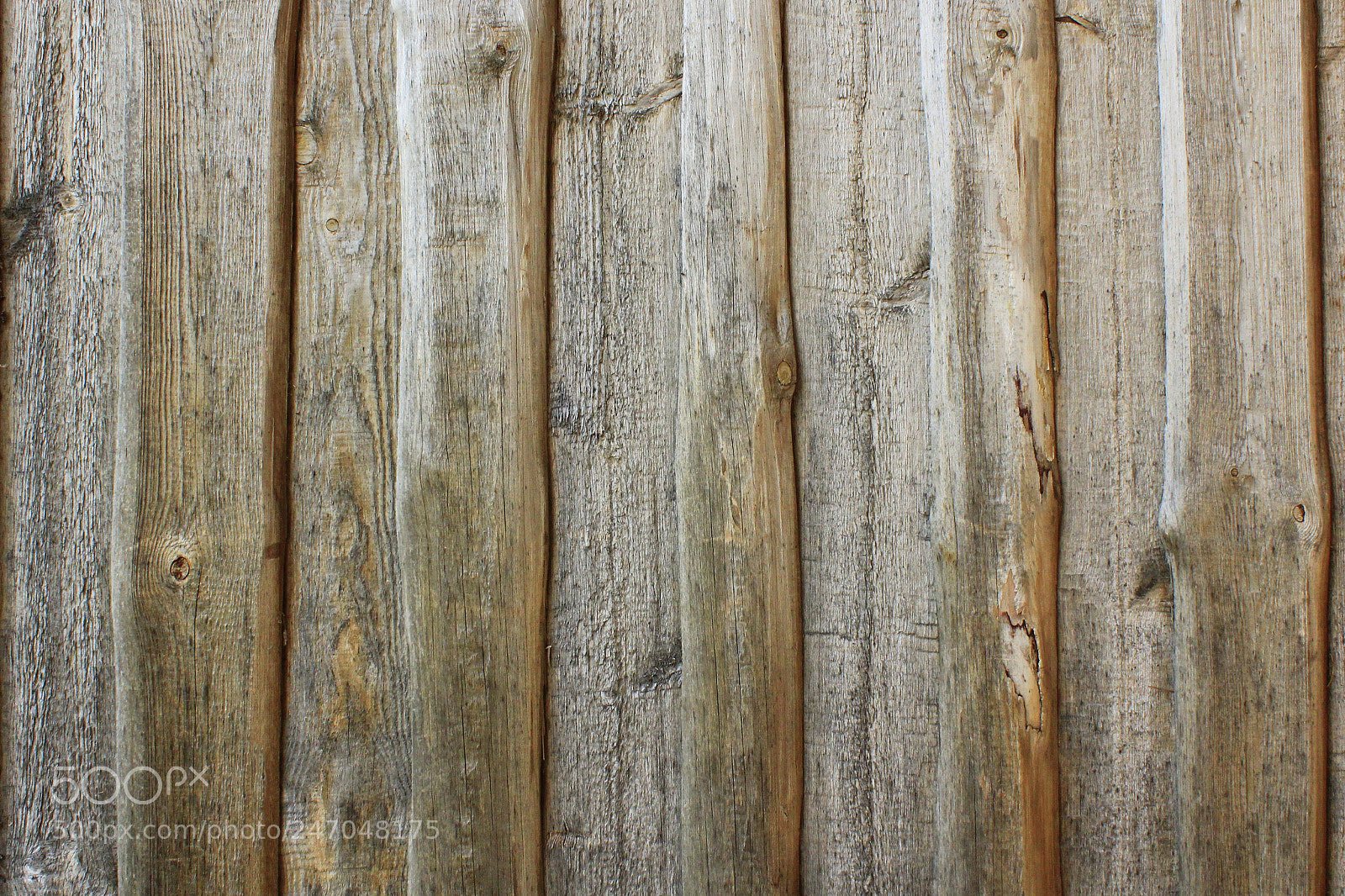 Canon EOS 600D (Rebel EOS T3i / EOS Kiss X5) sample photo. Vintage texture from dark photography