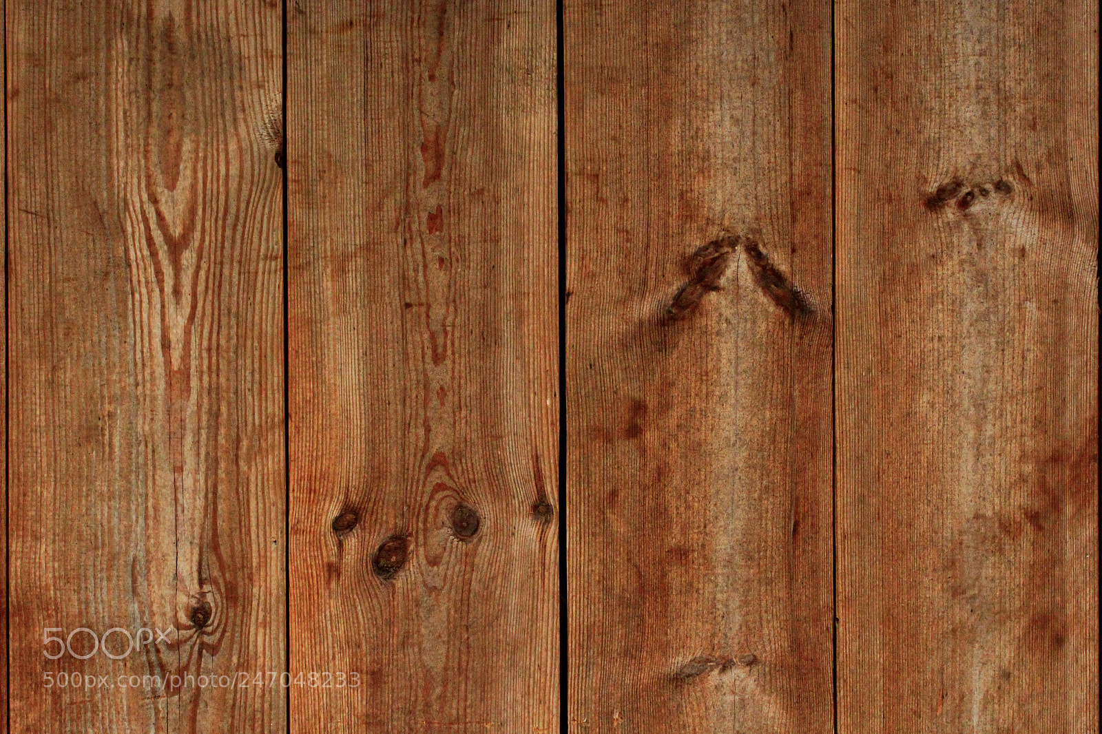 Canon EOS 600D (Rebel EOS T3i / EOS Kiss X5) sample photo. Vintage texture from old photography
