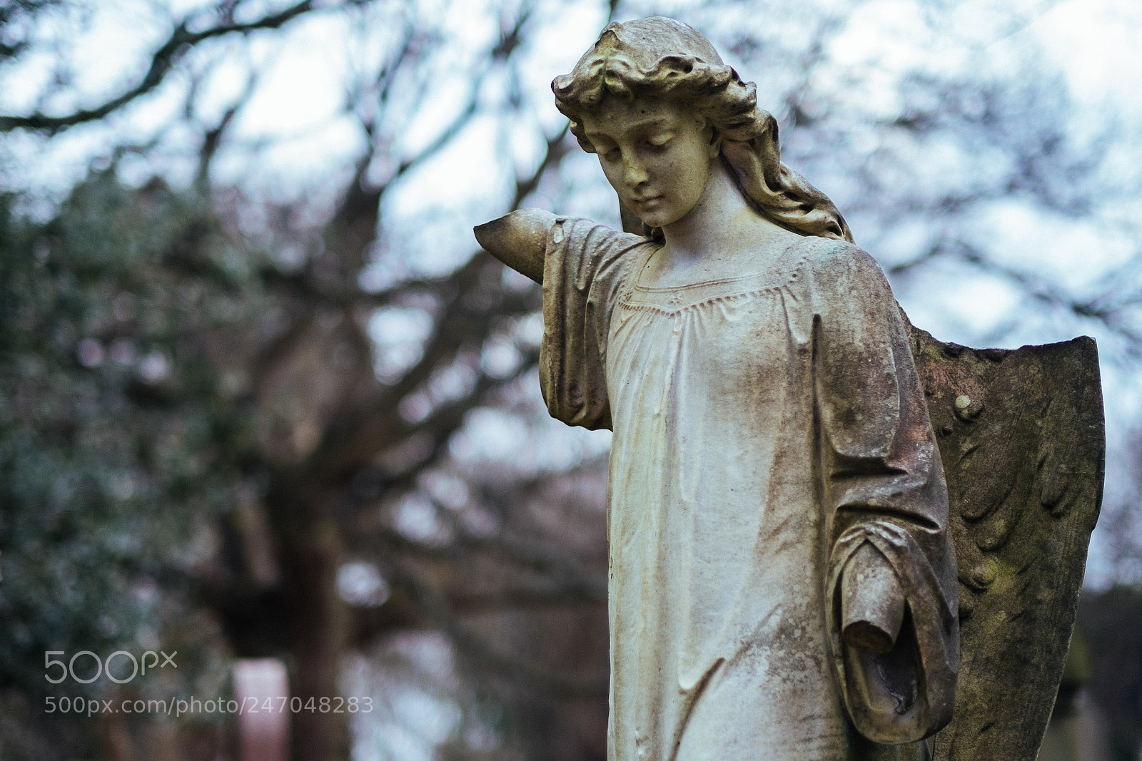 Fujifilm X-E2 sample photo. Fragile photography
