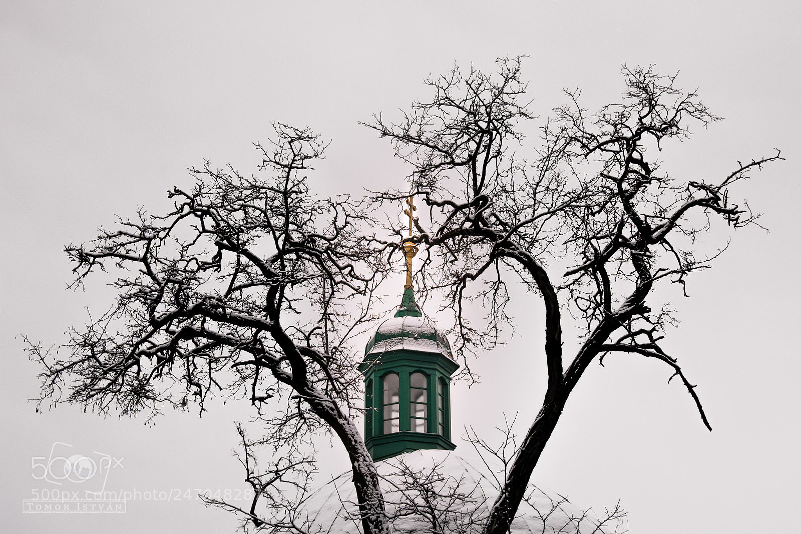 Nikon D7100 sample photo. Cage photography
