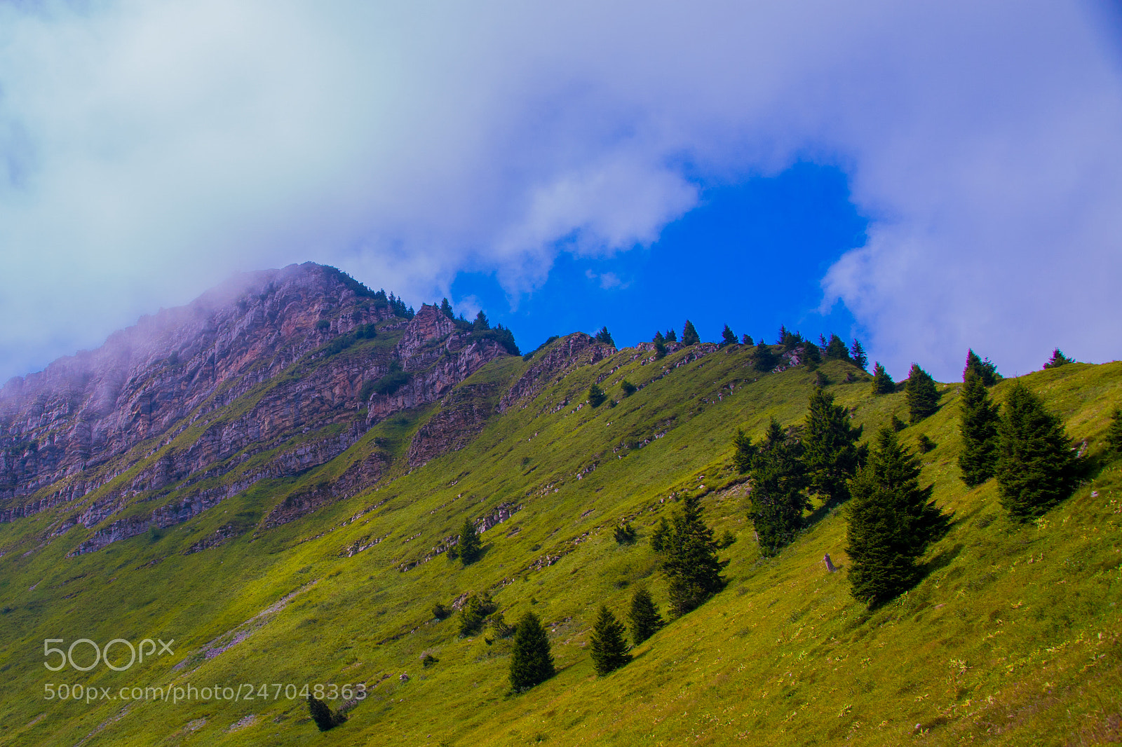 Sony ILCA-77M2 sample photo. Climbing to heaven..... photography