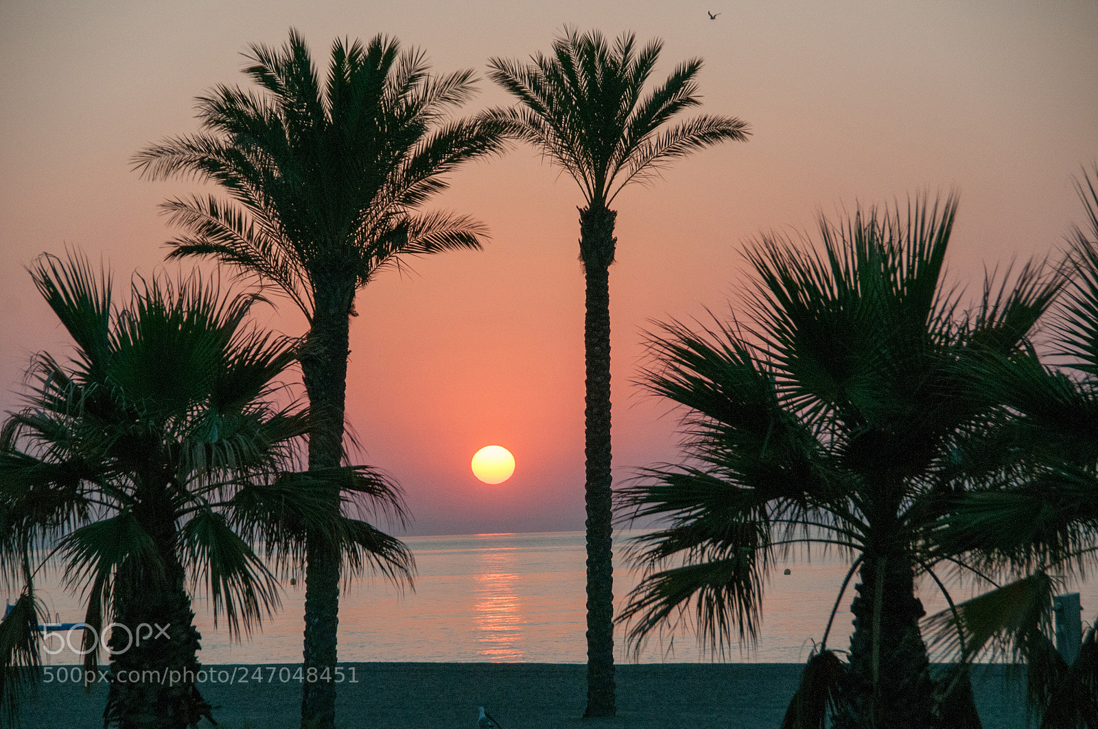 Nikon D300S sample photo. Roquetas de mar photography