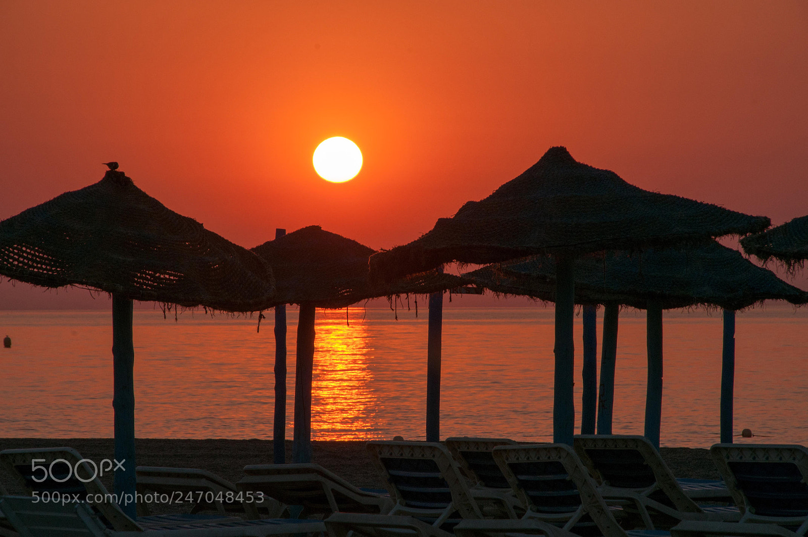 Nikon D300S sample photo. Roquetas de mar photography
