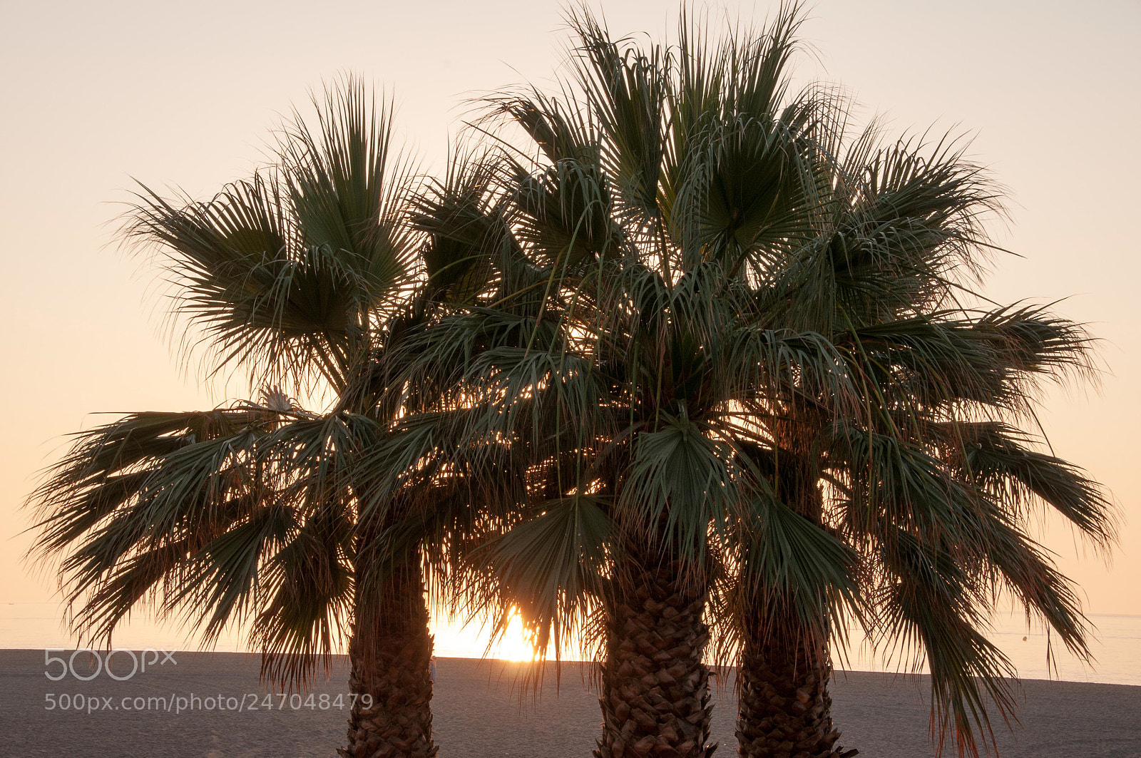 Nikon D300S sample photo. Roquetas de mar photography