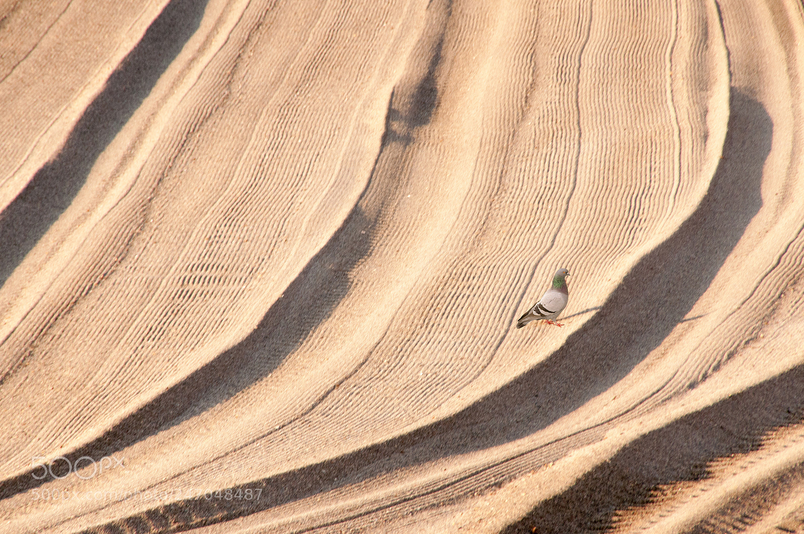 Nikon D300S sample photo. Roquetas de mar photography