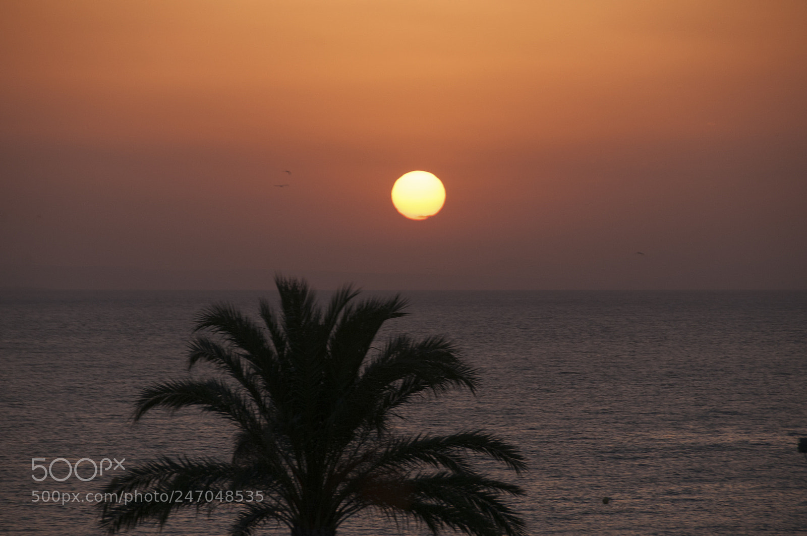 Nikon D300S sample photo. Roquetas de mar photography