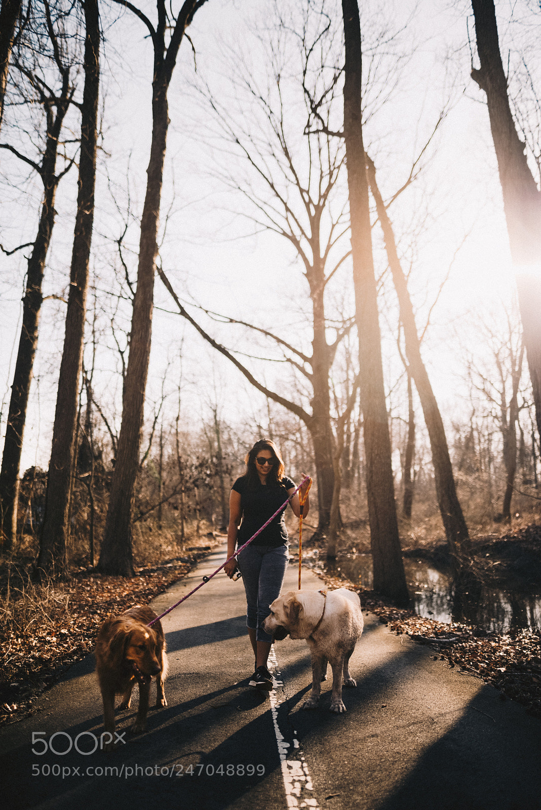 Nikon D810 sample photo. 70 degrees in february? photography