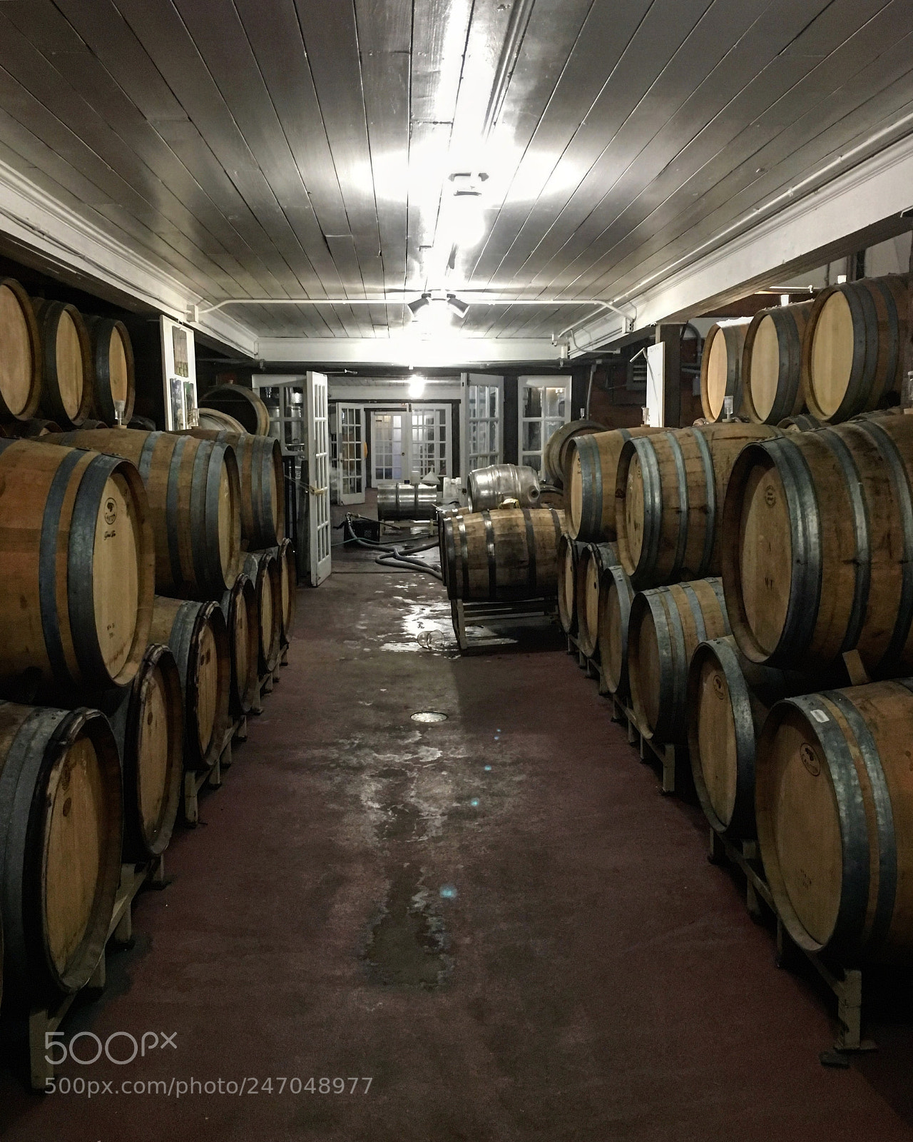 Apple iPhone 6s sample photo. Millbrook vineyard and winery photography