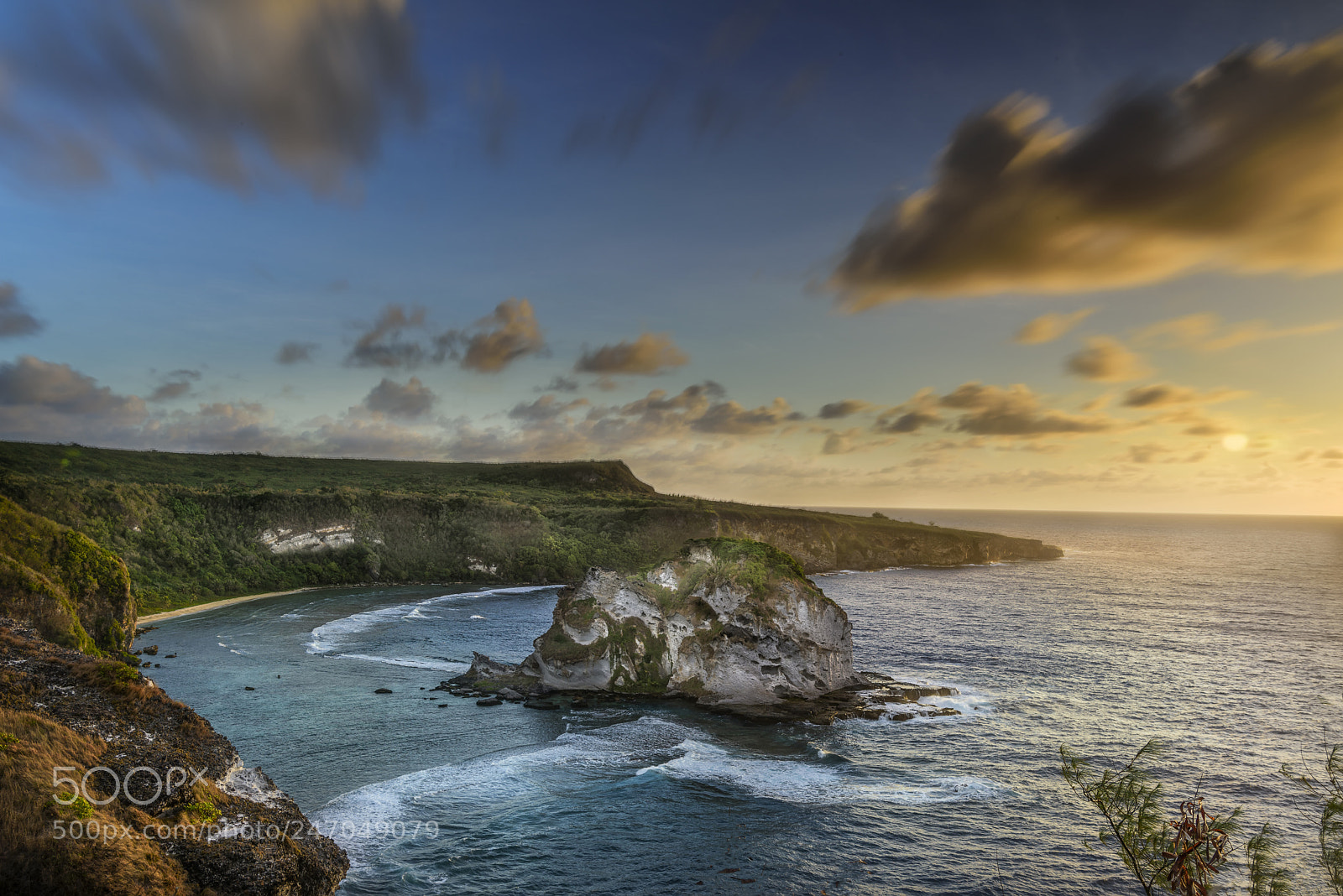 Nikon D810 sample photo. Bird island photography