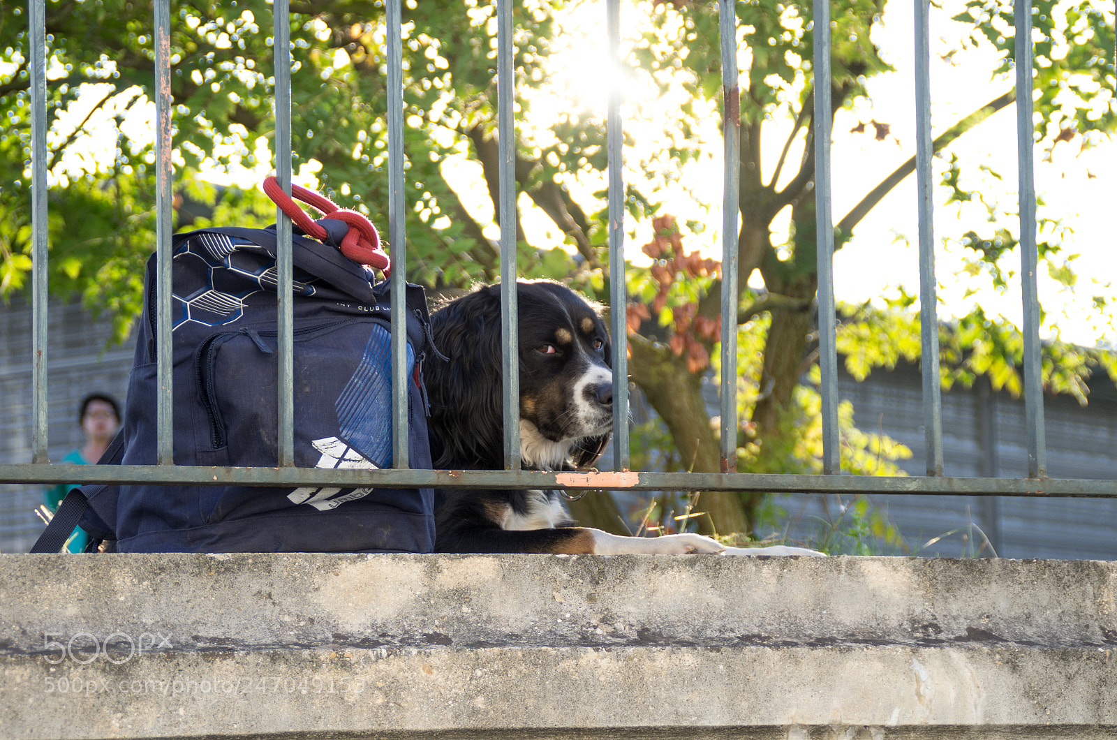 Pentax K-5 sample photo. Sept dijon photography
