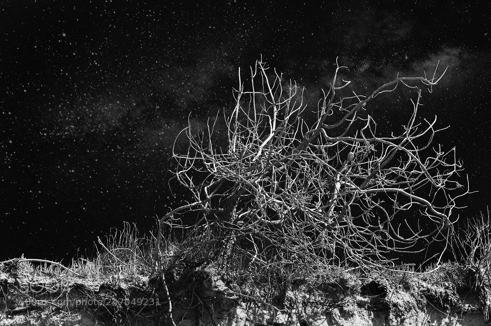 Nikon D300S sample photo. Sous la galaxy photography