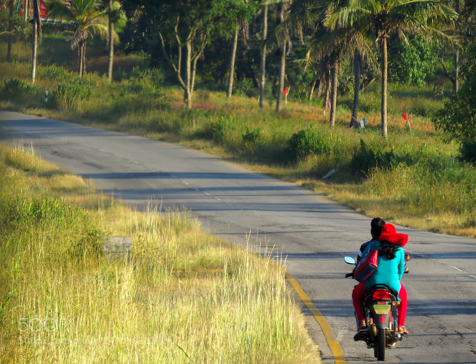 Canon PowerShot SX50 HS sample photo. The road back to photography