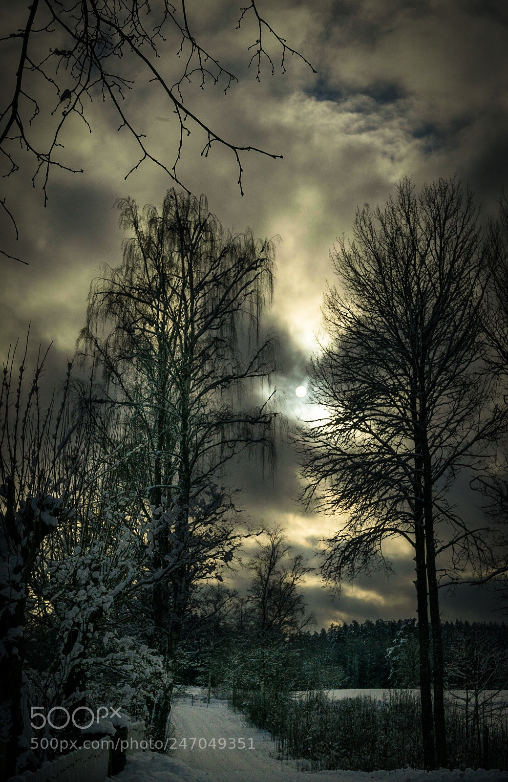Sony a7R sample photo. Småland , vinter photography