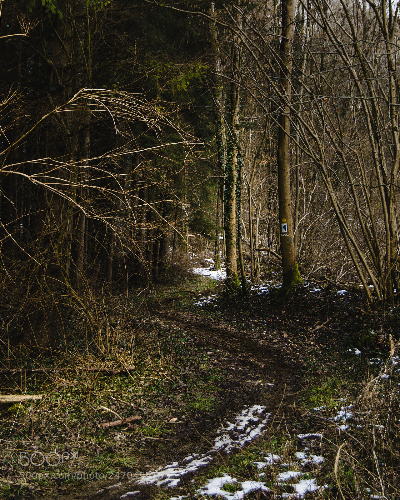 Nikon D3200 sample photo. Le chemin inconnu photography