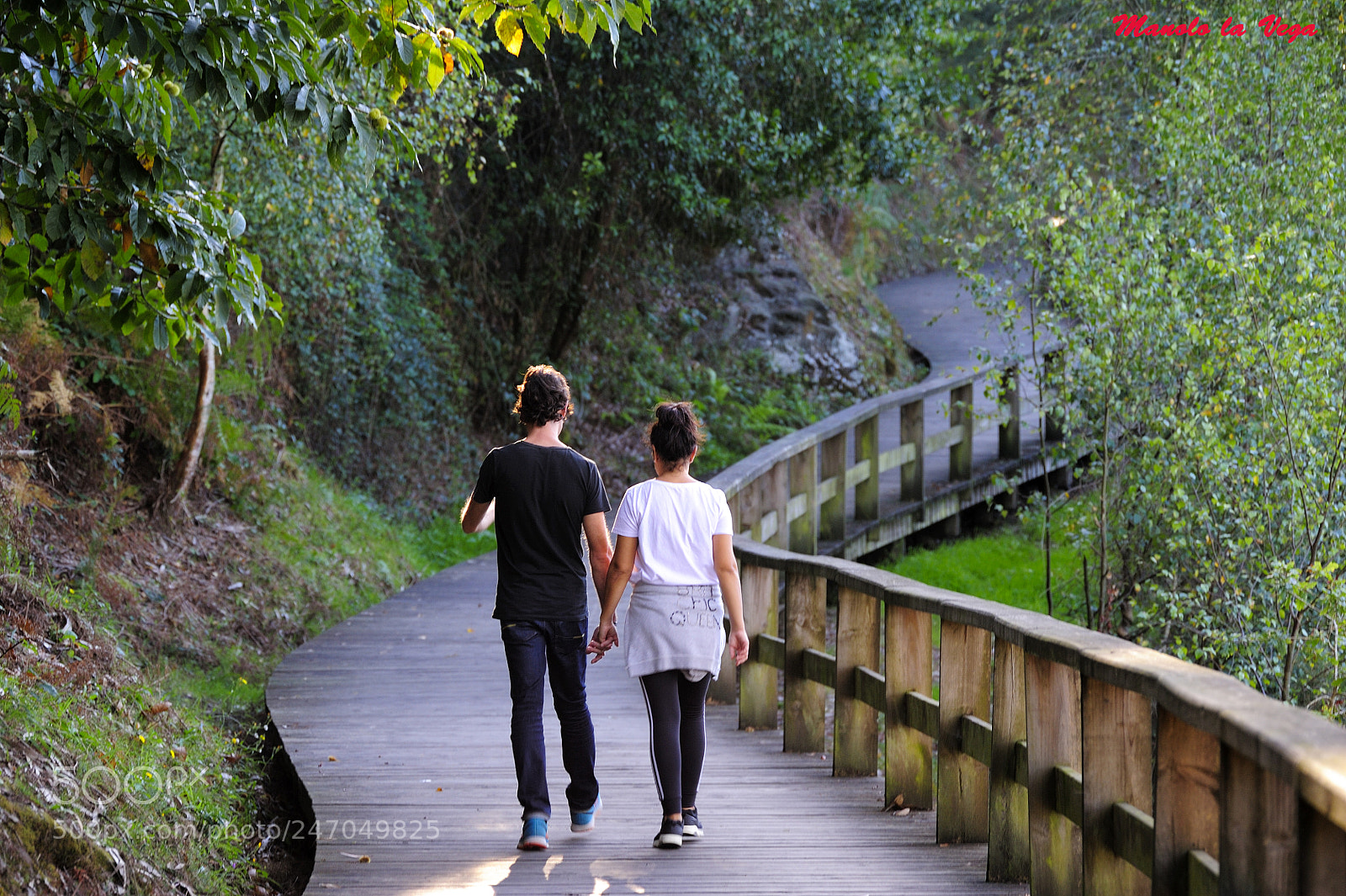 Nikon D700 sample photo. La vida photography