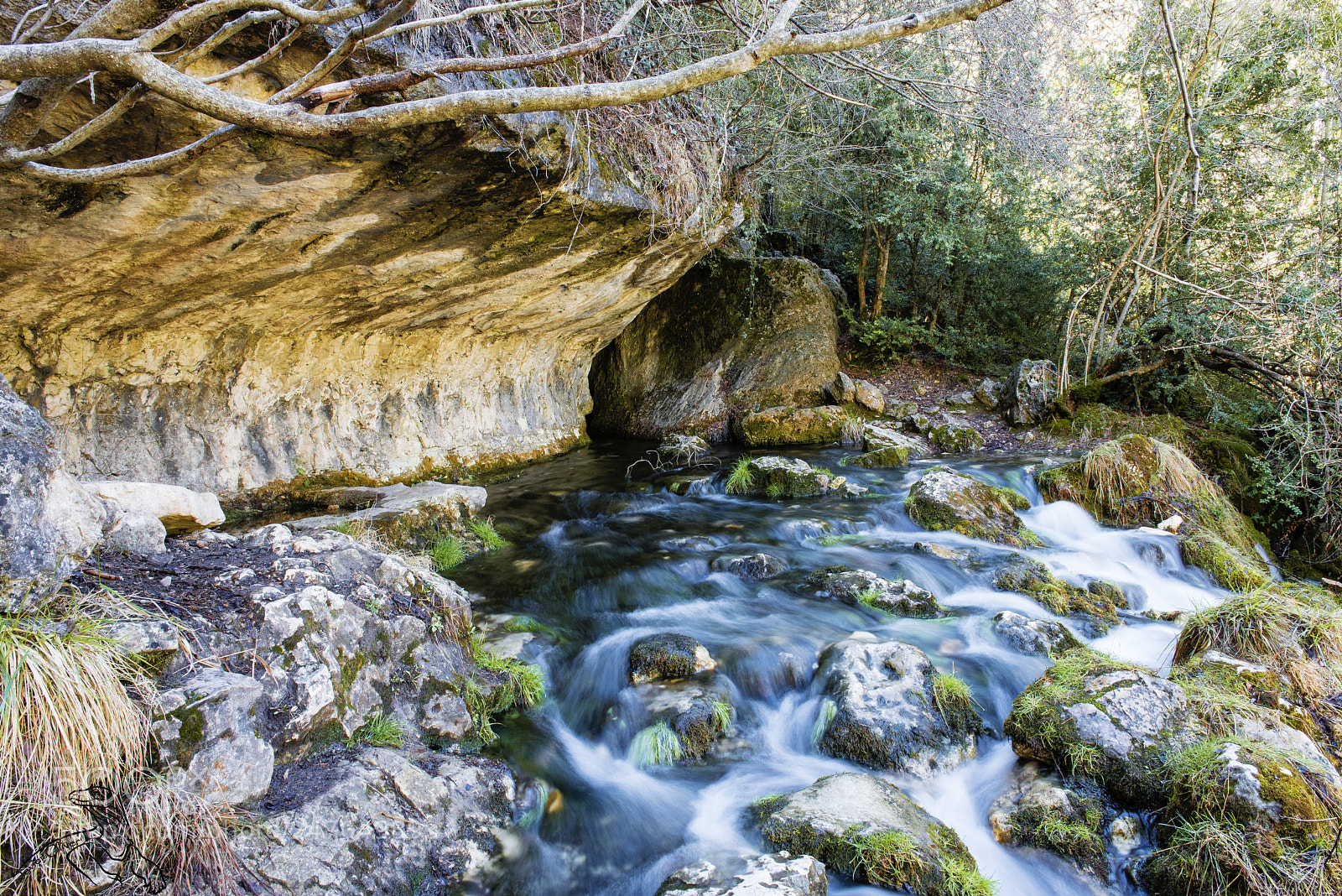 Nikon D810 sample photo. Nacimiento del r o photography
