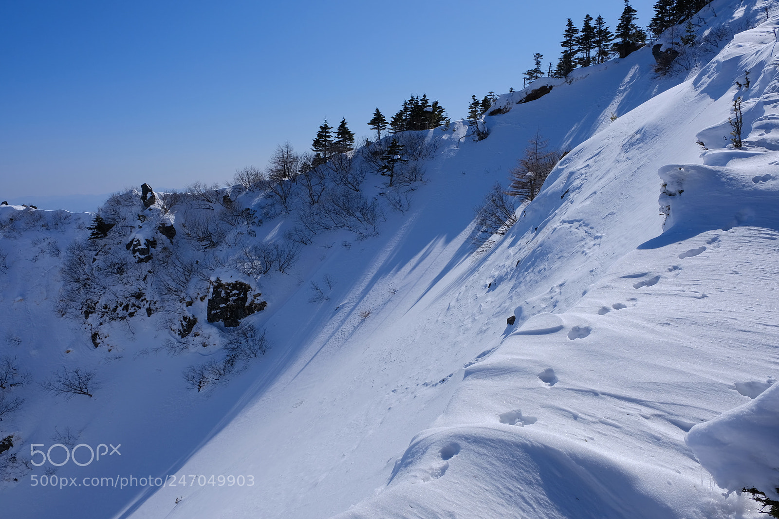 Fujifilm X-T2 sample photo. 雪に足跡、獣の気配 photography