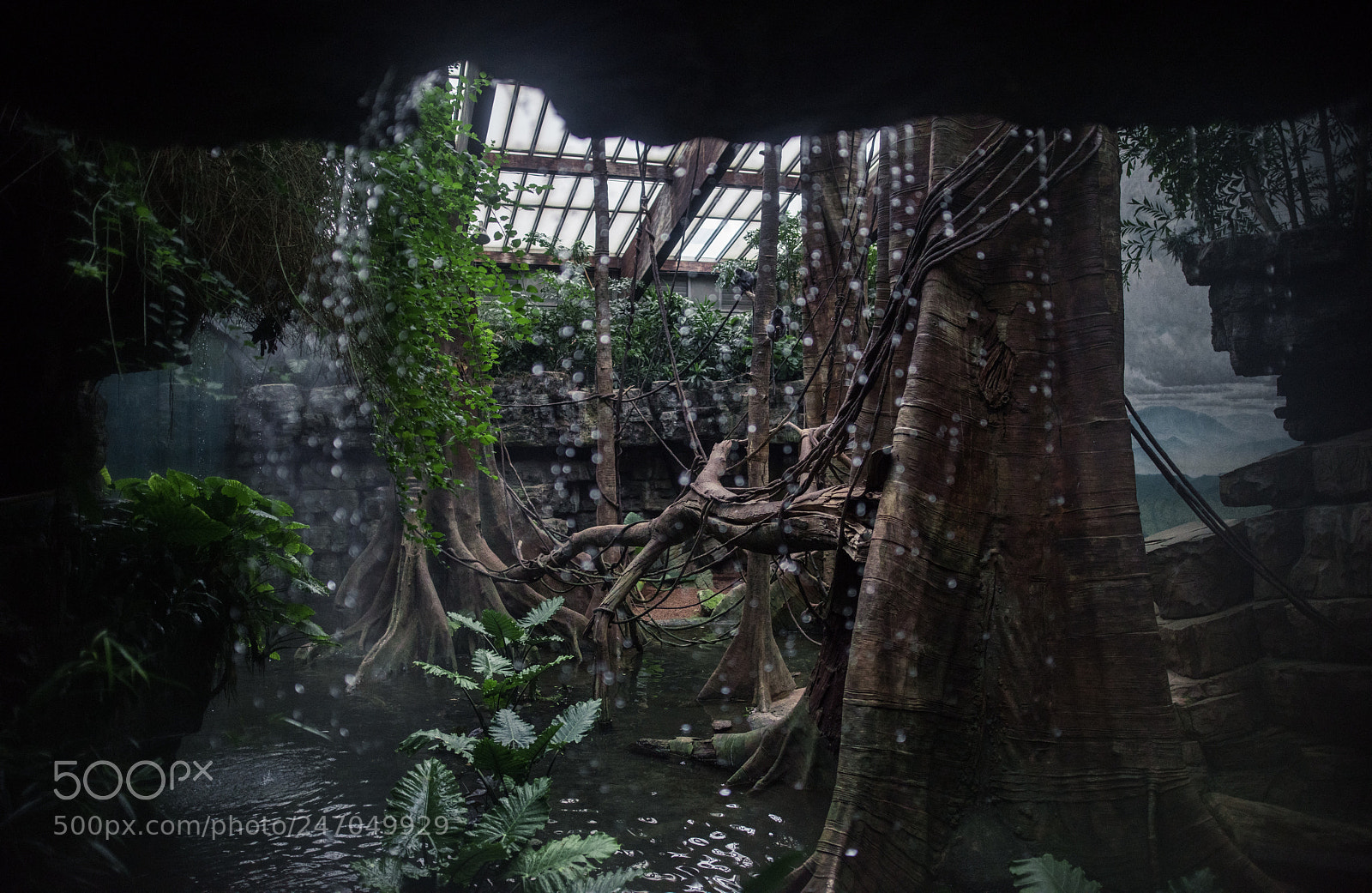 Nikon D810 sample photo. Jungle house at the photography