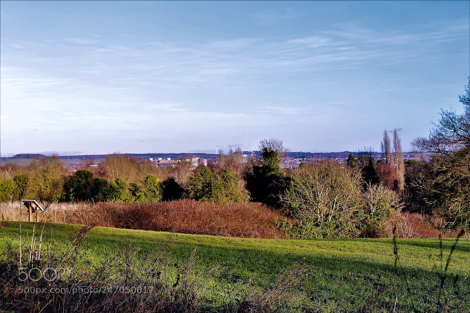 Canon EOS 700D (EOS Rebel T5i / EOS Kiss X7i) sample photo. Through the woods to photography
