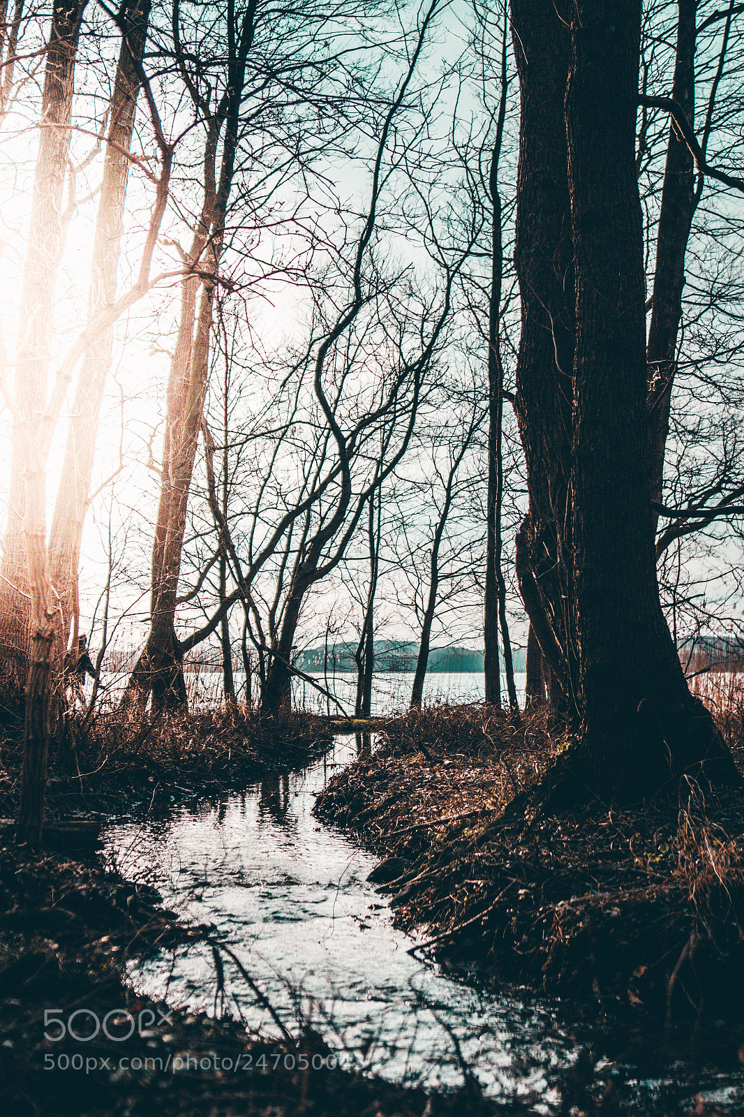 Canon EOS 7D sample photo. The small river photography