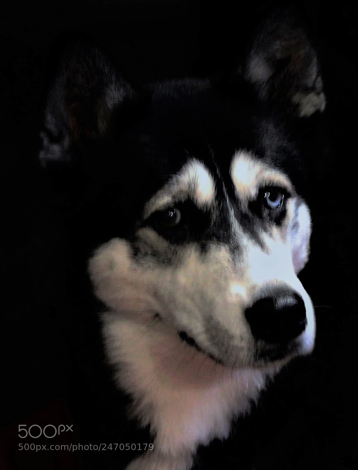 Canon EOS 700D (EOS Rebel T5i / EOS Kiss X7i) sample photo. Storm too photography