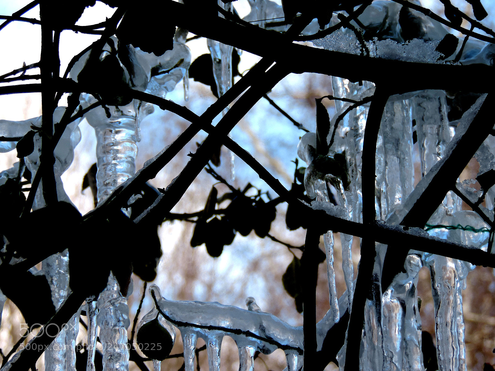 Nikon Coolpix P520 sample photo. Ice thru the window 1 photography
