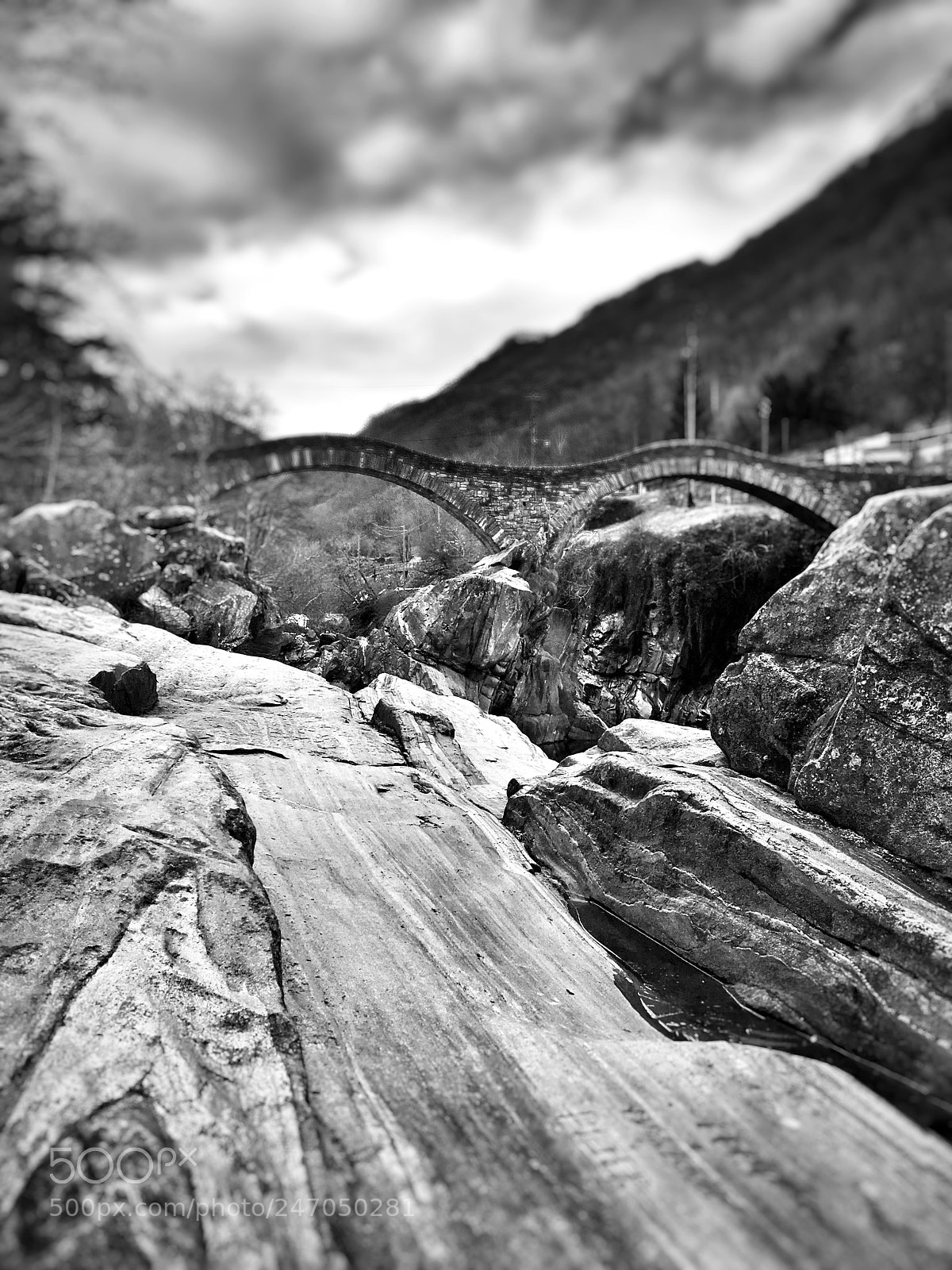 Apple iPhone SE sample photo. Untitled photography