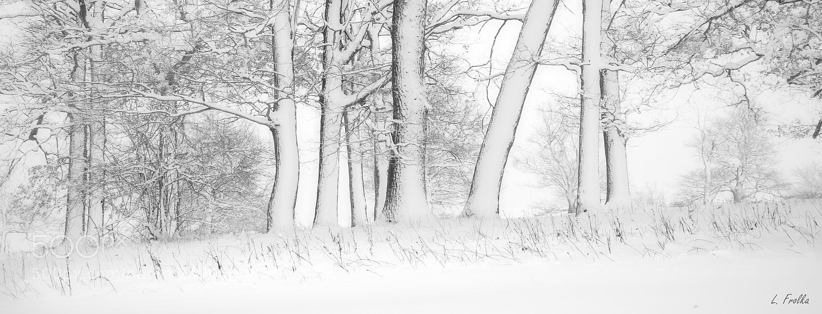 Pentax K20D sample photo. Simplicity photography