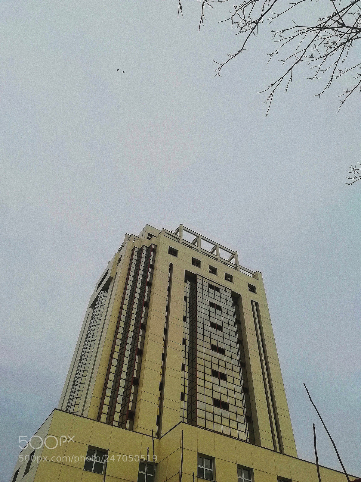 HUAWEI P10 lite sample photo. Up photography