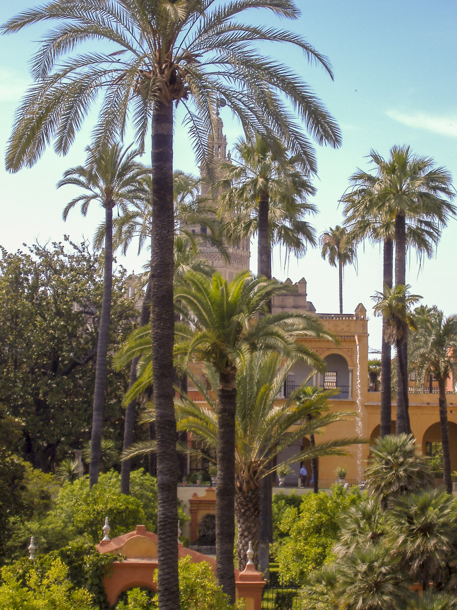 Fujifilm FinePix A345 sample photo. Sevilla photography