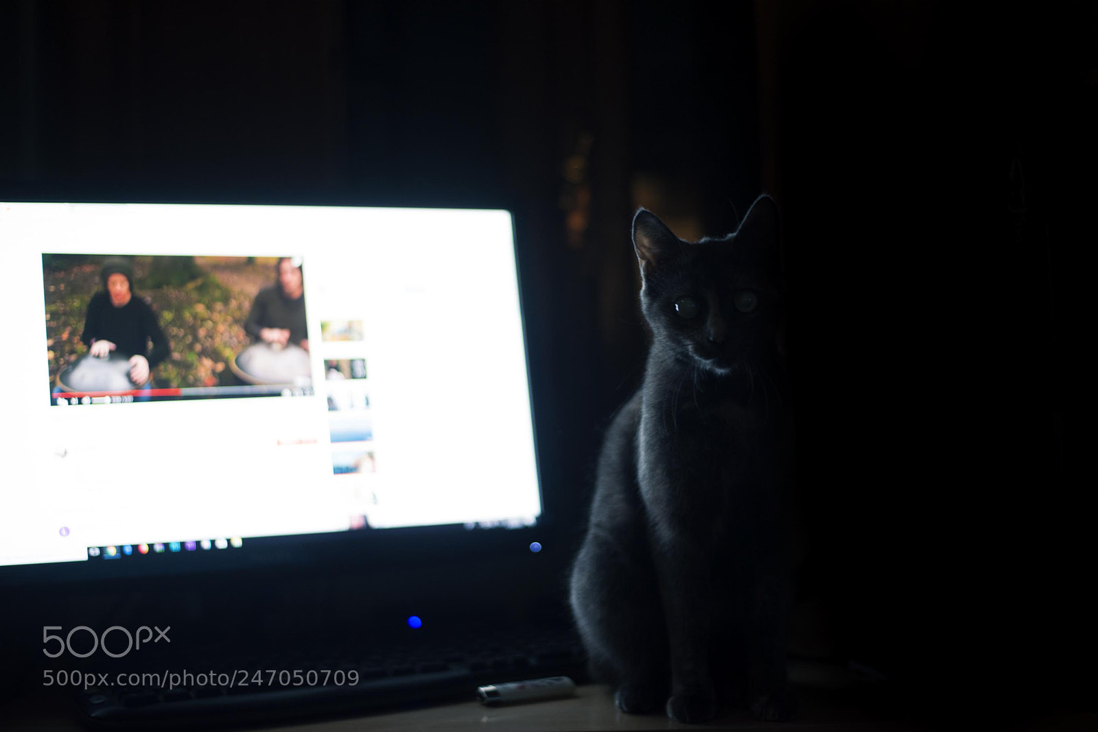 Nikon D800 sample photo. Serena photography