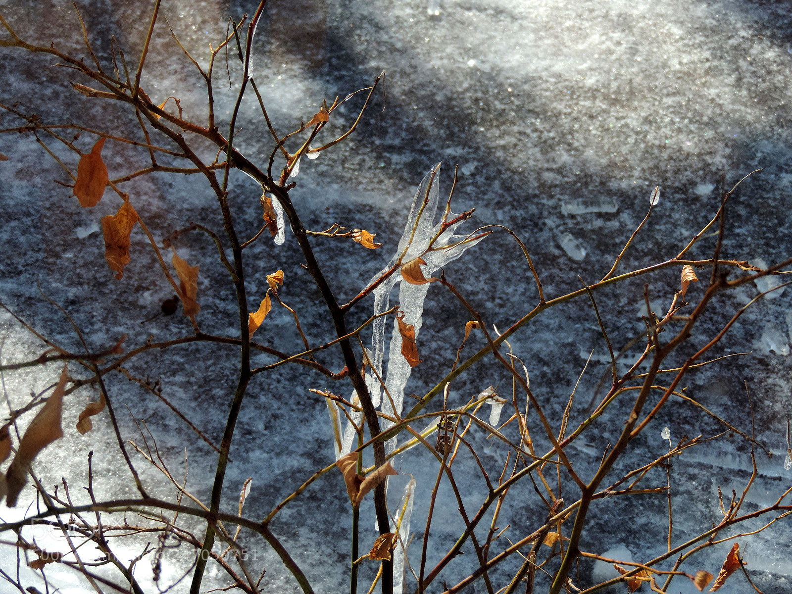 Nikon Coolpix P520 sample photo. Ice thru the window 2 photography