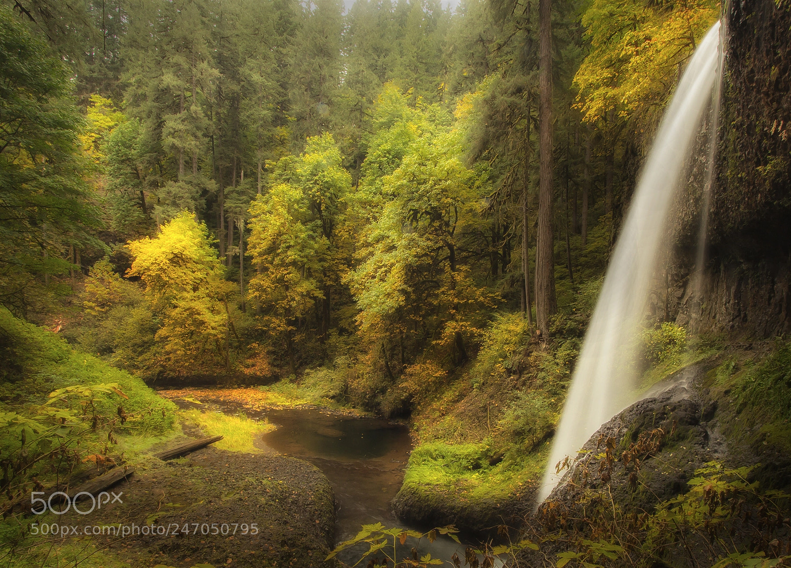 Canon EOS 60D sample photo. Silver falls state park photography