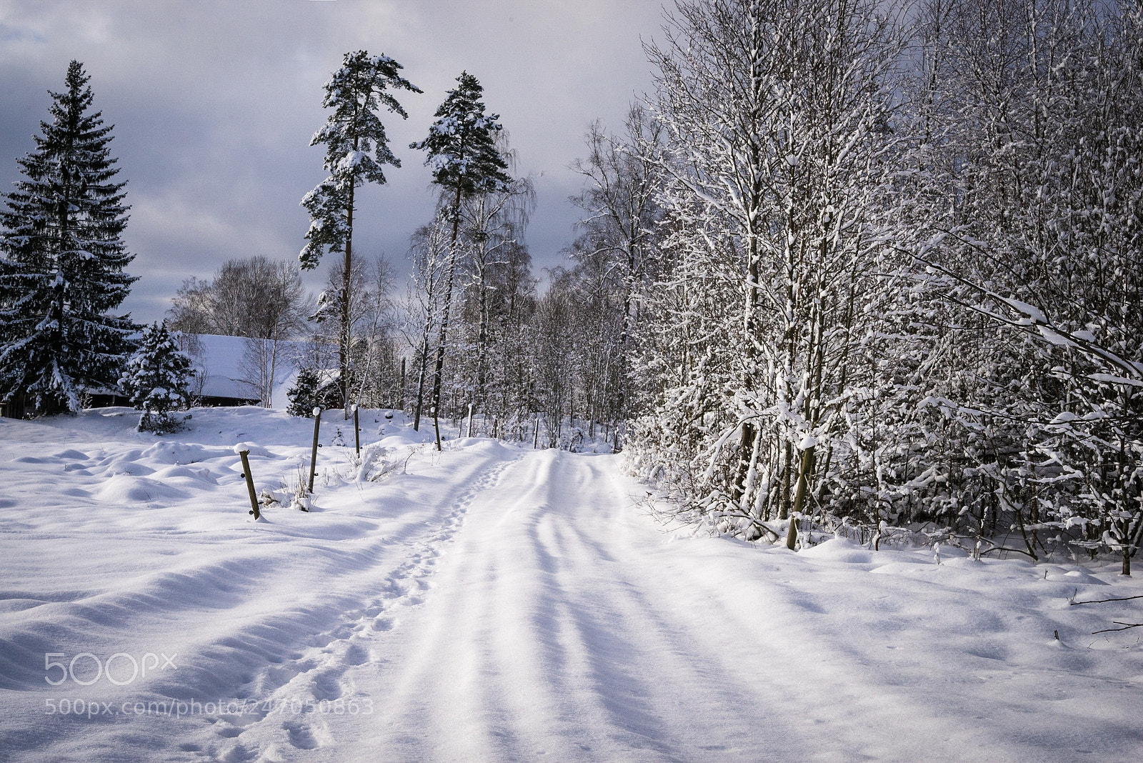 Sony a7R sample photo. Vinter photography
