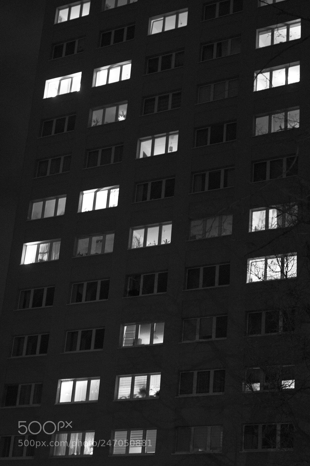 Nikon D7500 sample photo. Shining windows photography