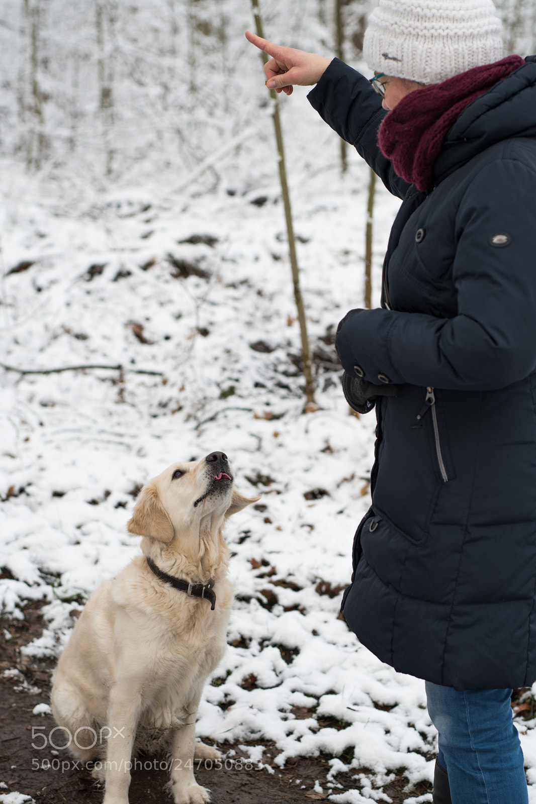 Nikon D7500 sample photo. Sitz! photography