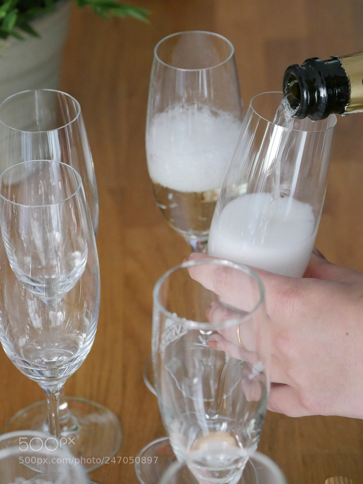 Panasonic Lumix DMC-GH4 sample photo. Serve champagne photography