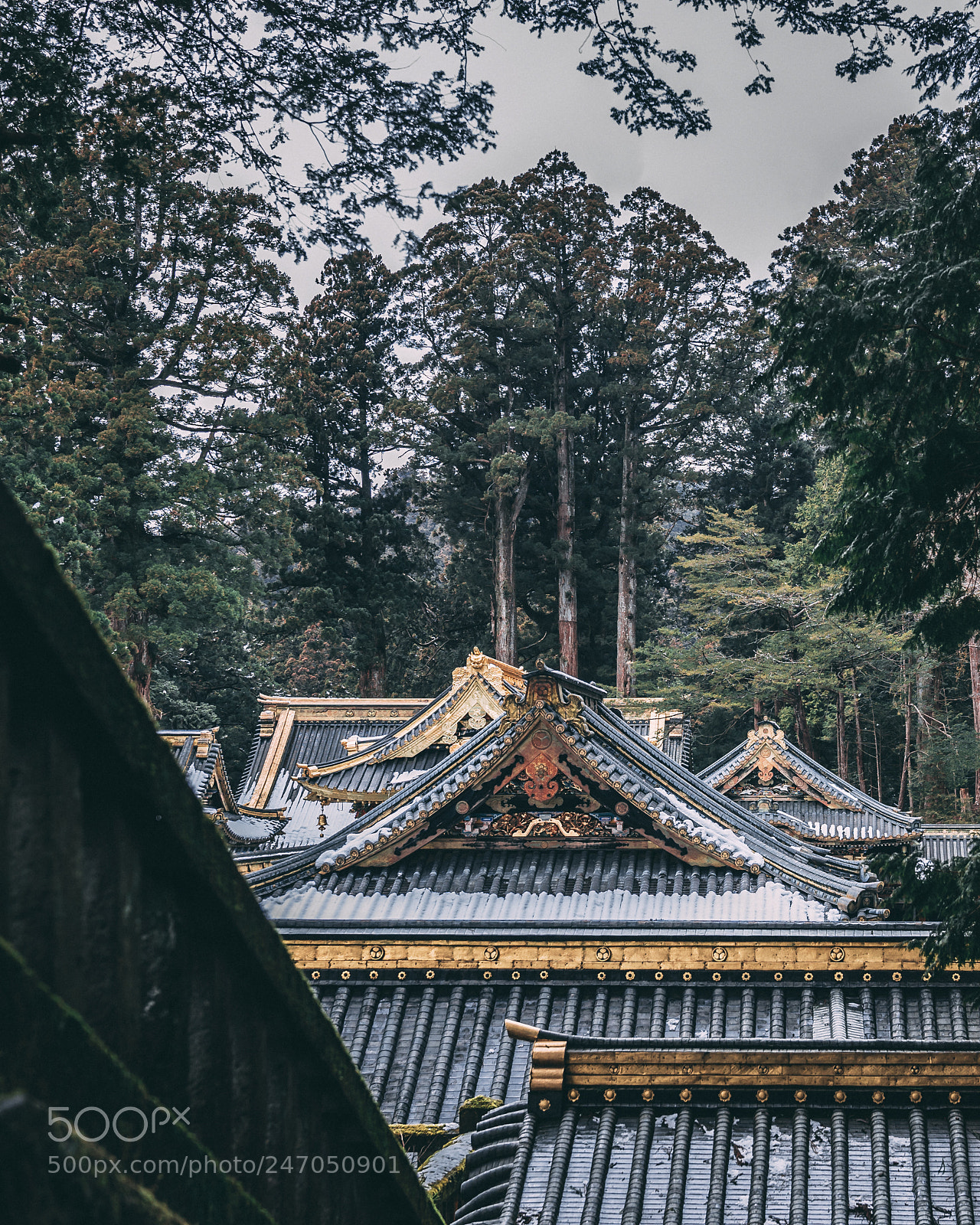 Sony a7 II sample photo. Toshogu shrine photography