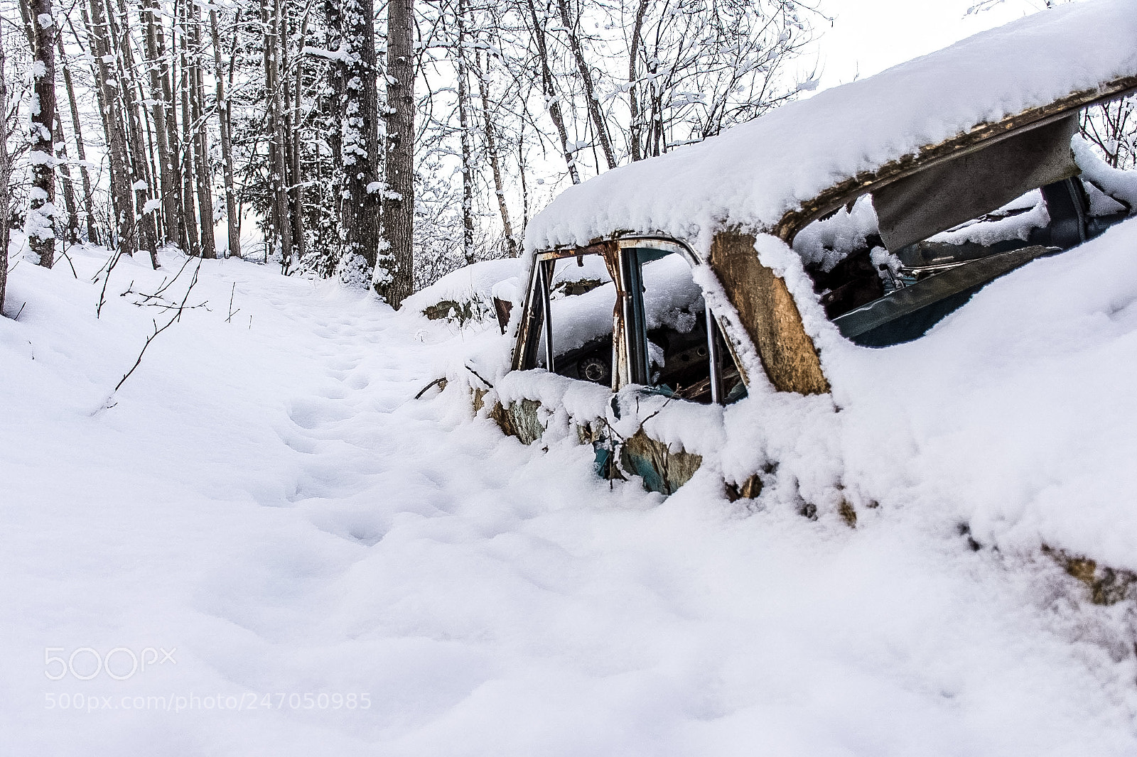 Nikon D7200 sample photo. Frozen in time! photography
